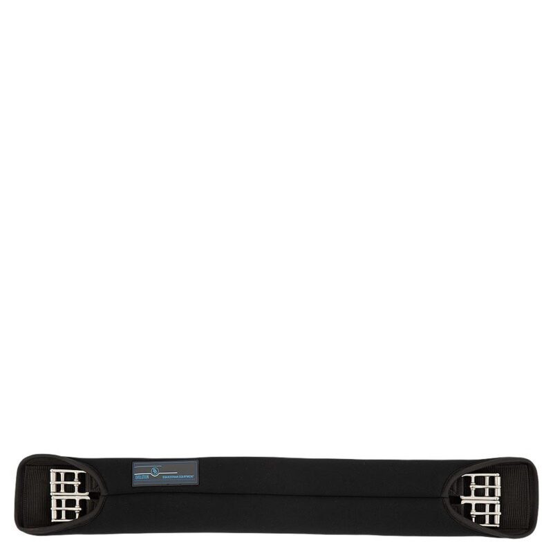 BR Evolution gjord - memoryskum - dressur - lige model