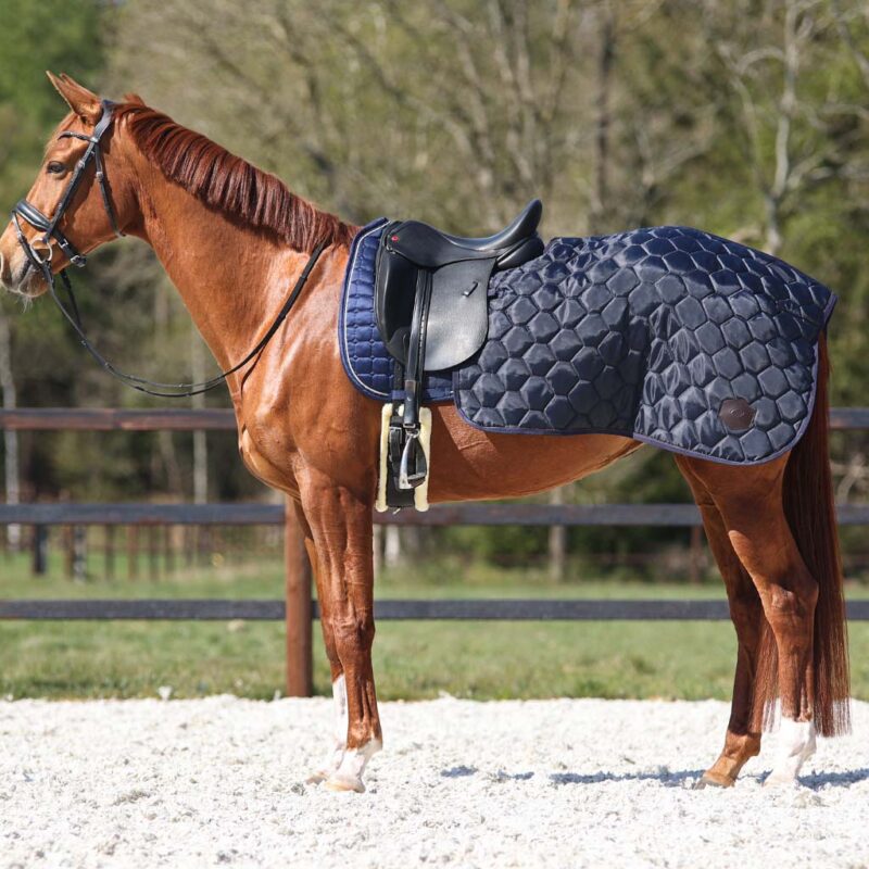 QHP Classy lændedækken