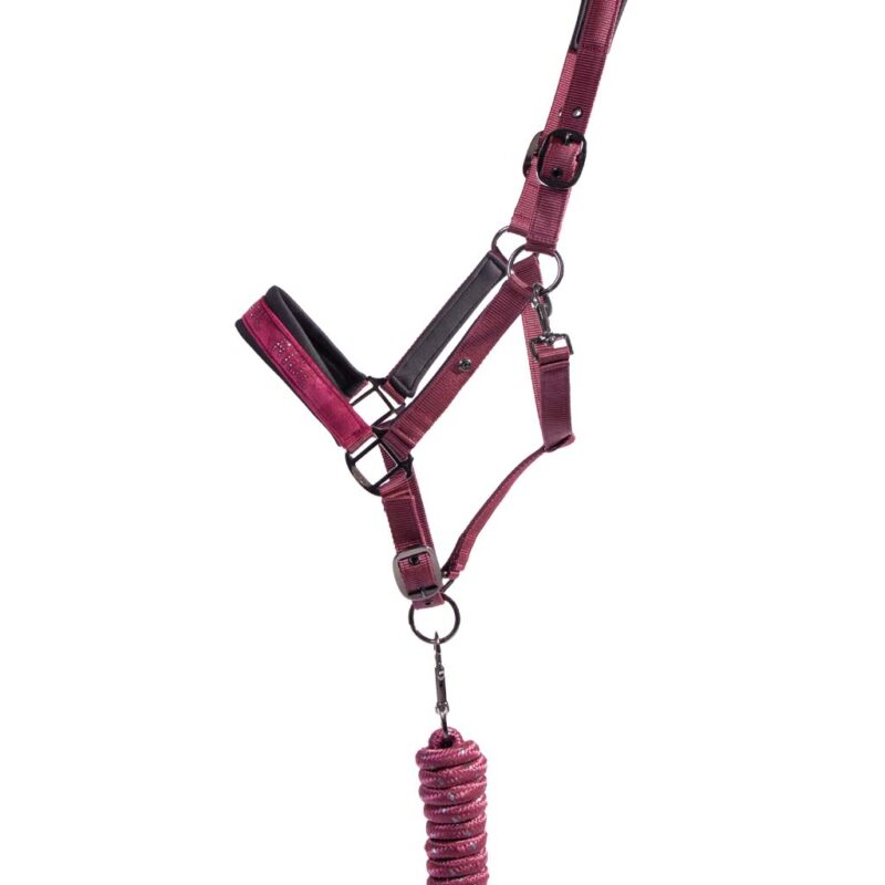 QHP Astana grimesæt