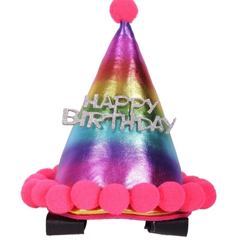 QHP fødselsdagshat til hesten