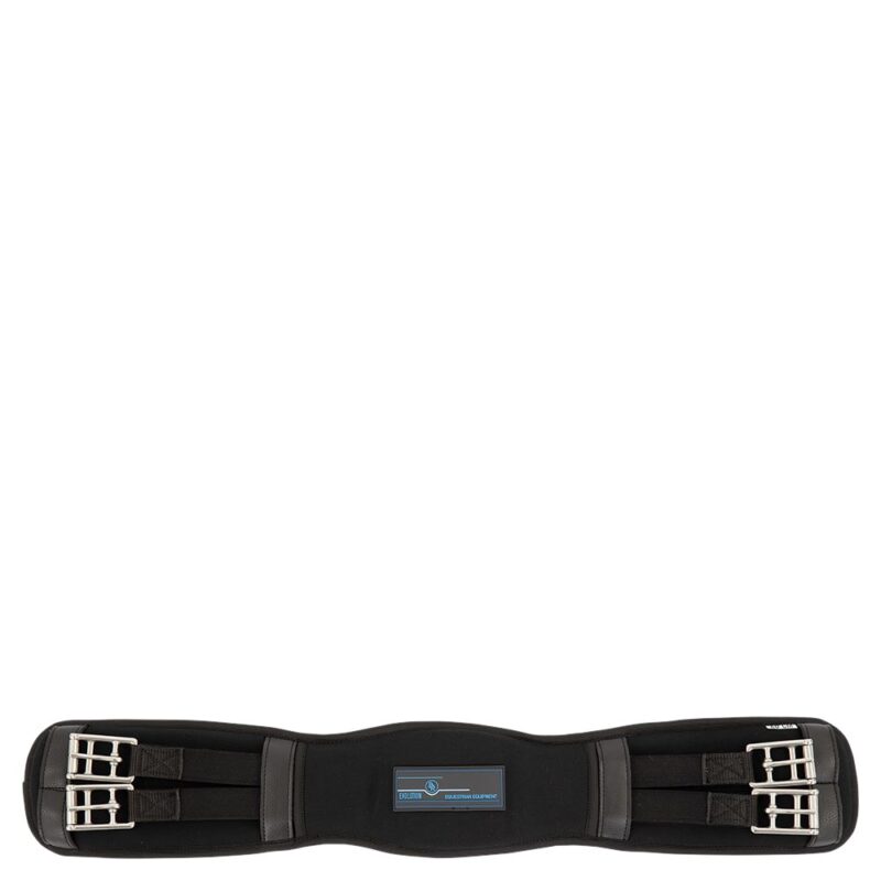 BR Evolution gjord - memoryskum dressur