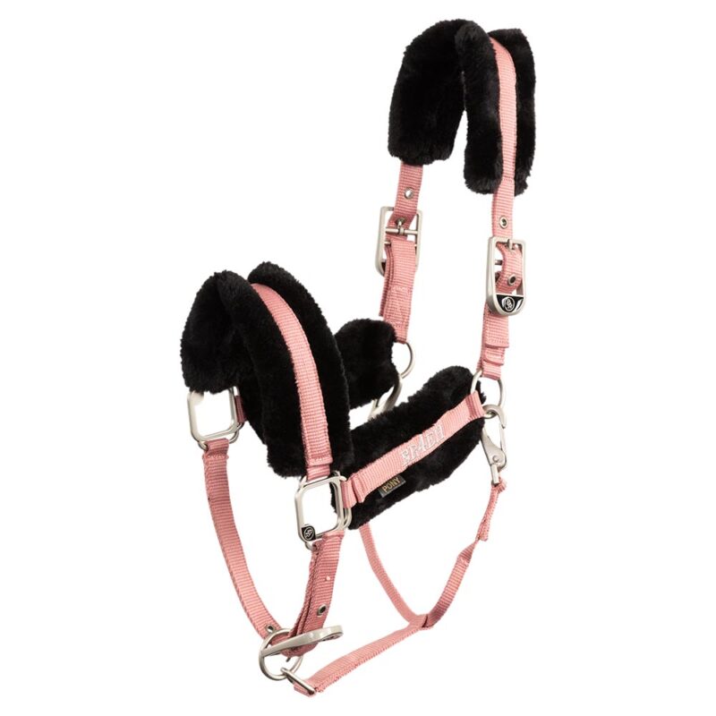 BR Bear grime med pels