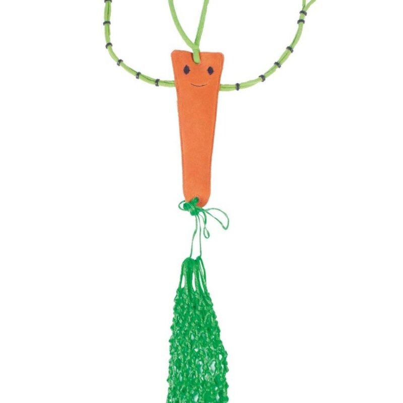 Hestelegetøj med hønet