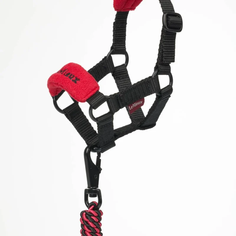 LeMieux "Mini Pony" grime - rød