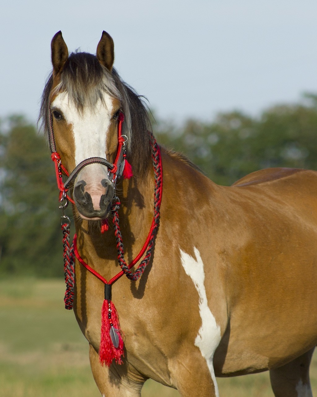 QHP rebgrime sæt - Rød - Billede 2