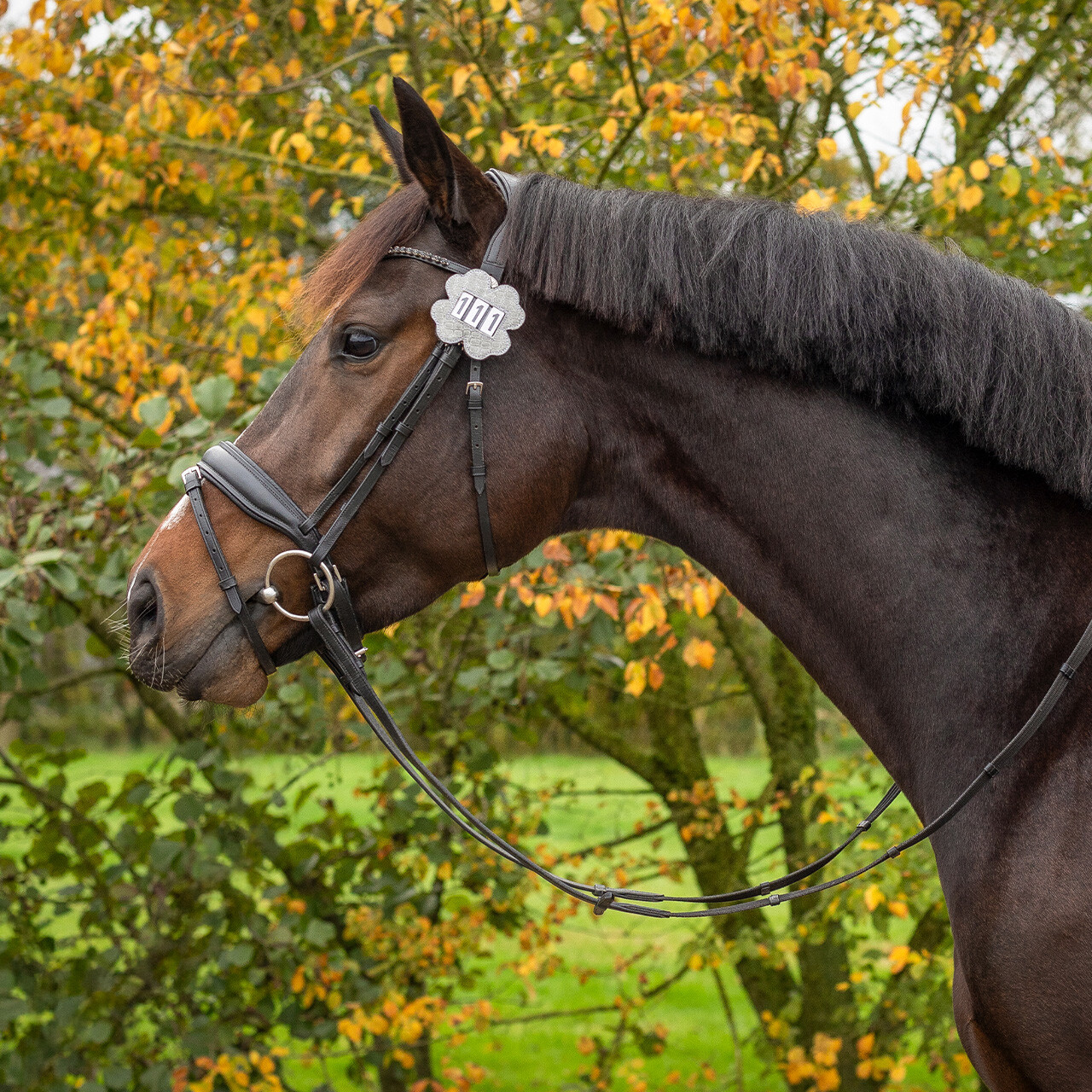 QHP Hjerte stævnenummer med glimmer - Billede 6
