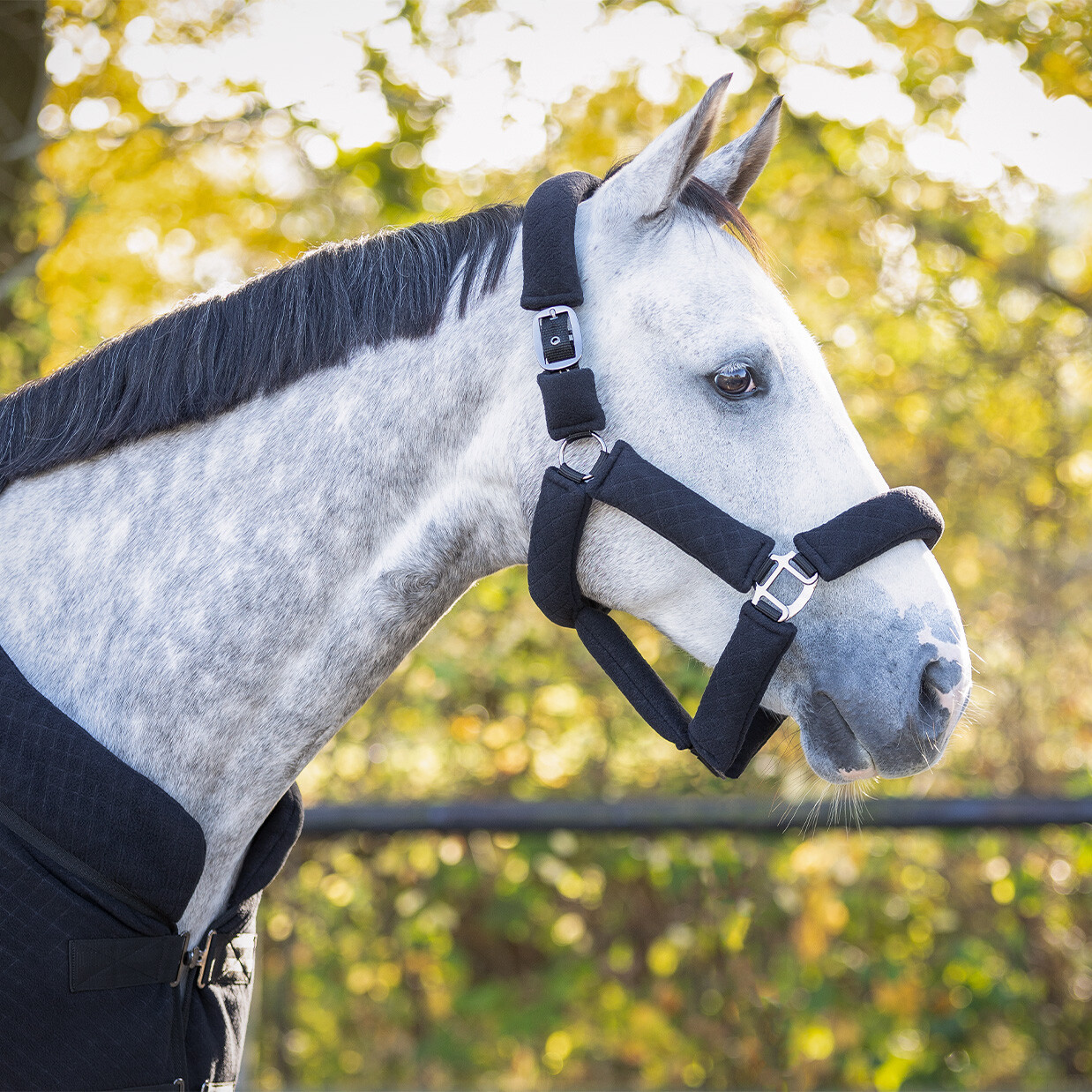 QHP Zahra grimesæt - Billede 3