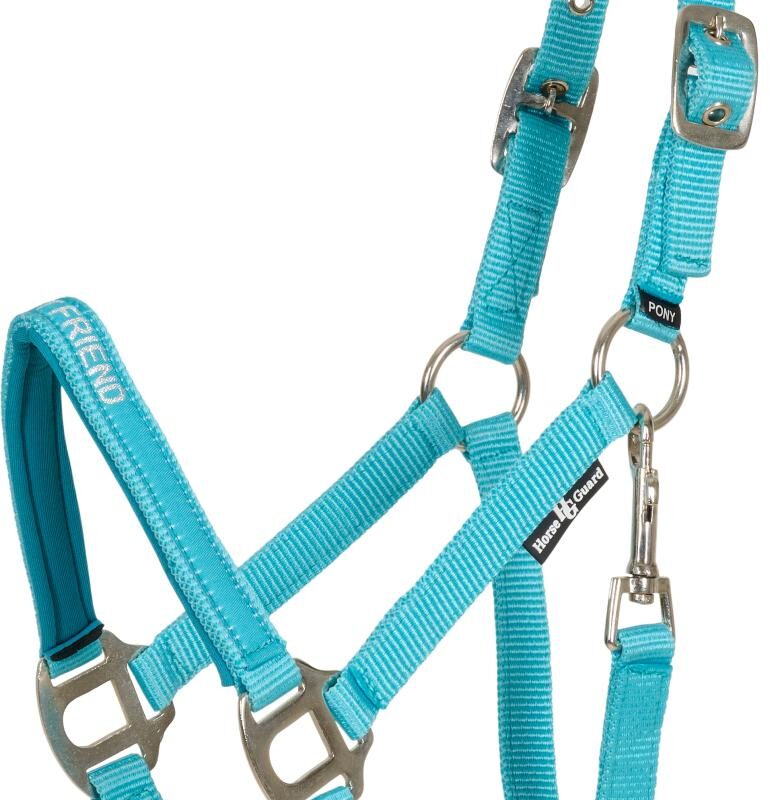 HorseGuard Malva grime - "My Best Friend"