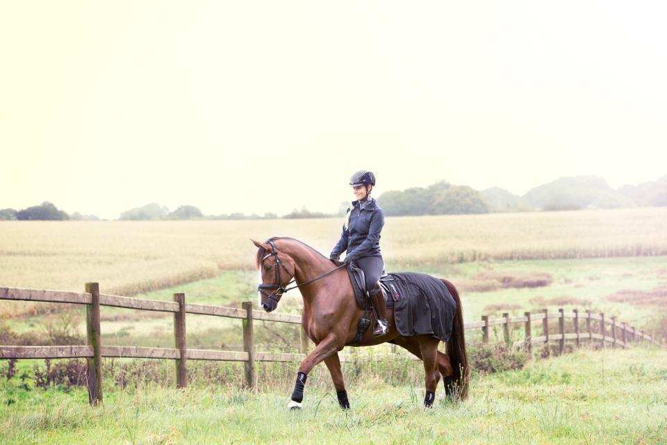 CATAGO FIR-Tech lændedækken - Billede 2