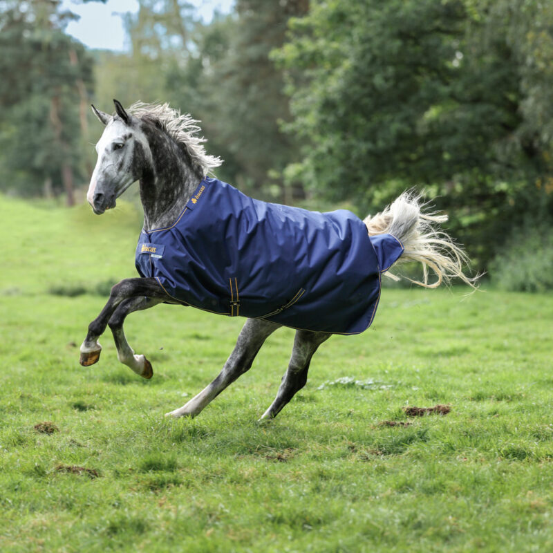 Bucas Irish Turnout dækken - 50 gram