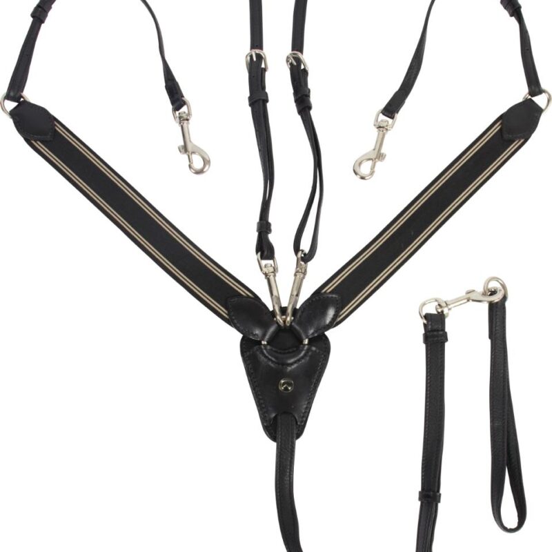 Catago fortøj med martingal