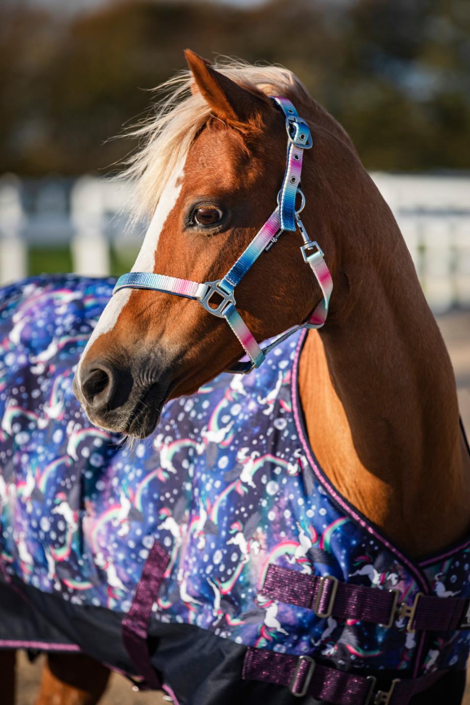 HorseGuard Gradient grime - Billede 2