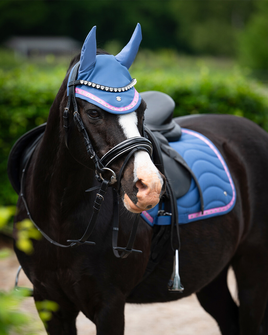 QHP Rosalynn hut - Billede 3