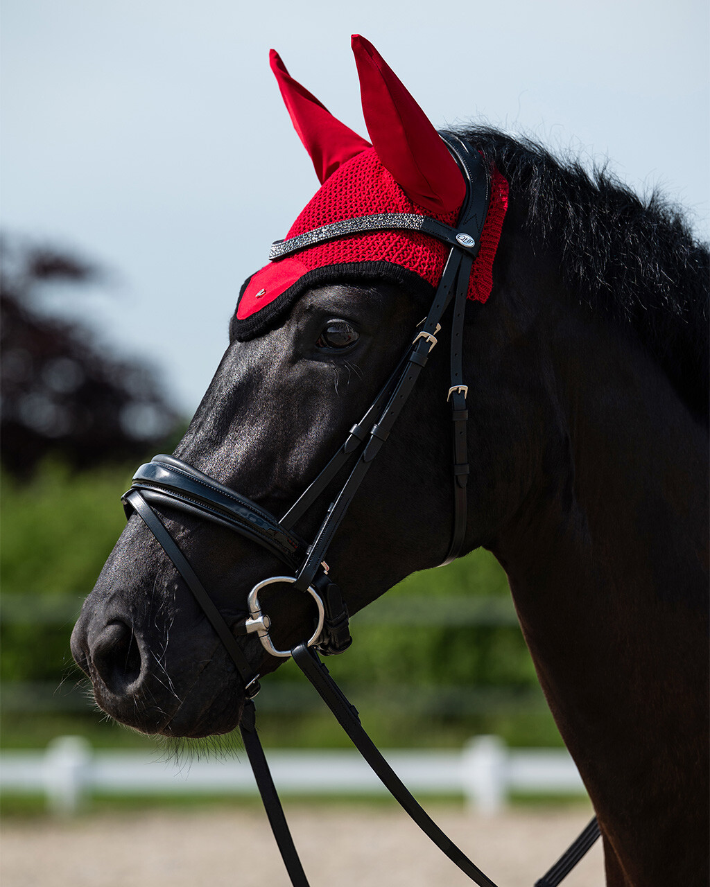 QHP Lagos trense - Billede 2