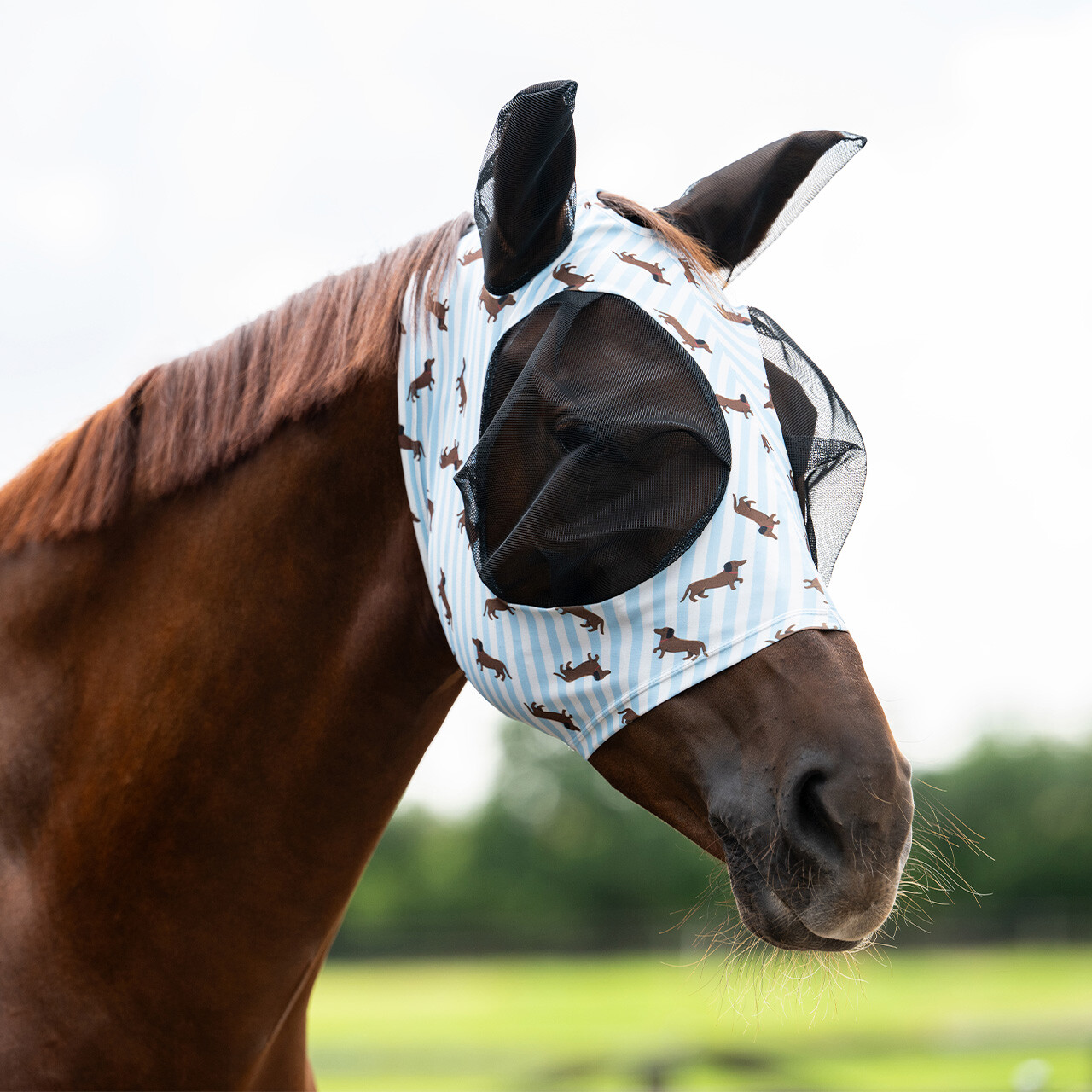 QHP Super bug Stable Buddy fluemaske