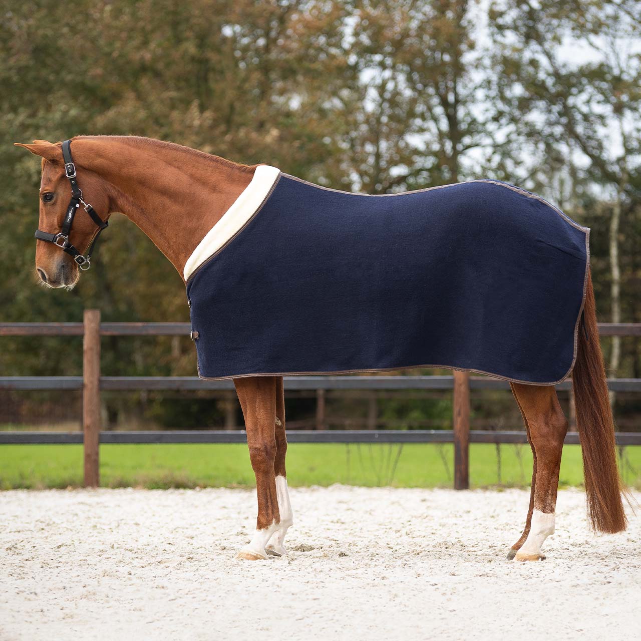 QHP Deluxe ulddækken - 155 cm QHP Deluxe ulddækken - 155 cm